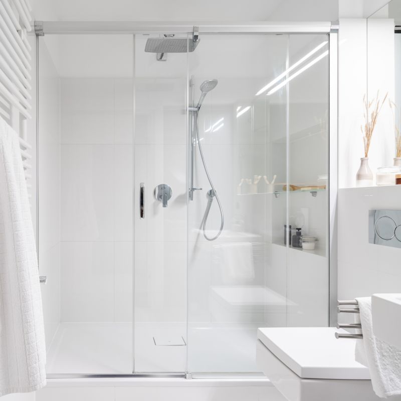 Contemporary Frameless Shower Door